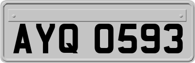 AYQ0593