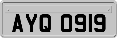 AYQ0919