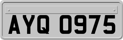 AYQ0975