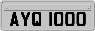 AYQ1000