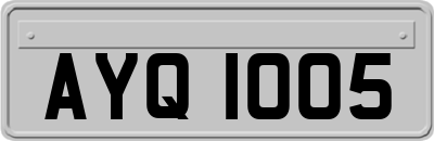 AYQ1005