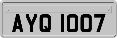 AYQ1007