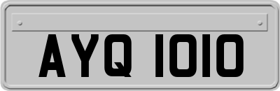 AYQ1010