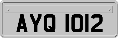 AYQ1012