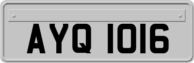 AYQ1016