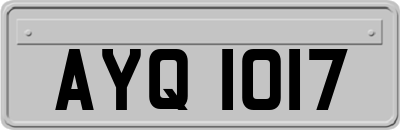 AYQ1017