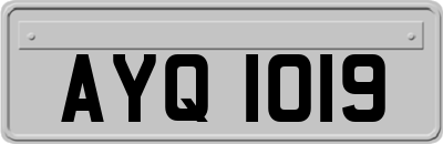 AYQ1019