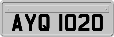 AYQ1020