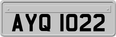 AYQ1022