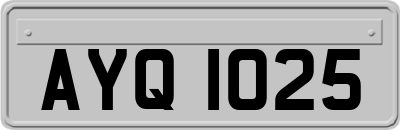 AYQ1025