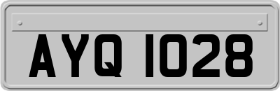 AYQ1028