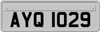 AYQ1029