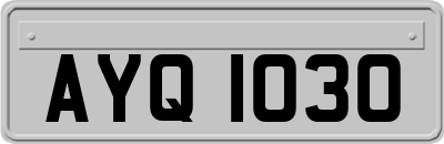 AYQ1030