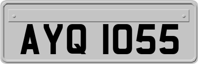 AYQ1055