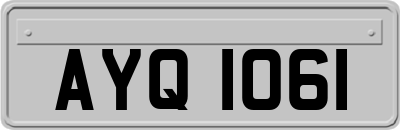 AYQ1061