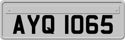 AYQ1065