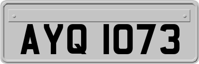 AYQ1073