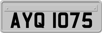 AYQ1075