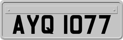 AYQ1077
