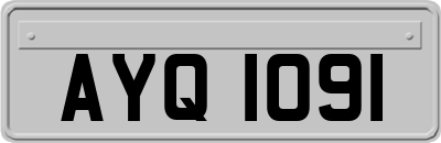 AYQ1091
