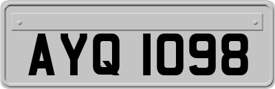 AYQ1098
