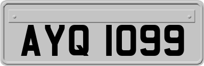 AYQ1099