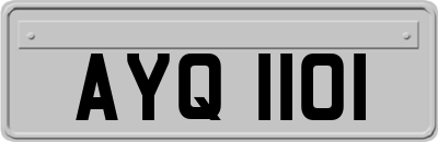 AYQ1101