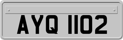 AYQ1102