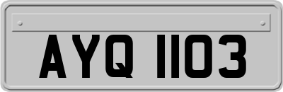 AYQ1103
