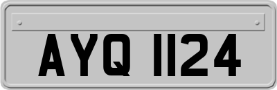 AYQ1124