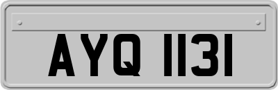 AYQ1131