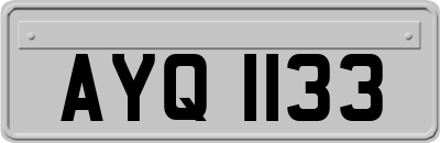 AYQ1133