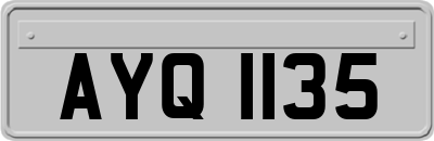 AYQ1135