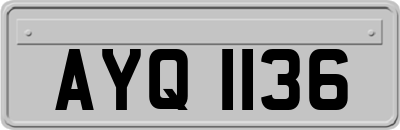 AYQ1136
