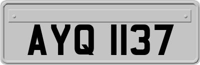 AYQ1137