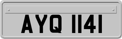 AYQ1141