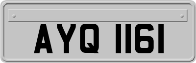AYQ1161