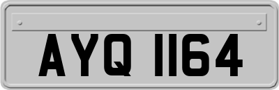 AYQ1164