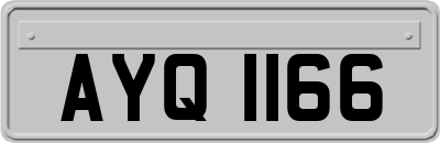 AYQ1166