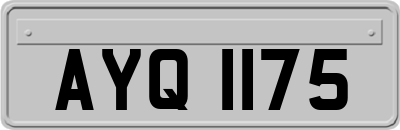 AYQ1175