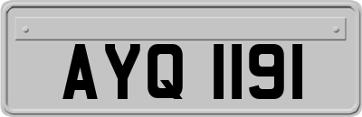 AYQ1191