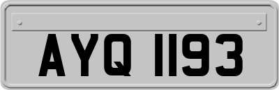 AYQ1193