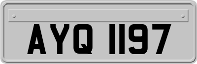 AYQ1197