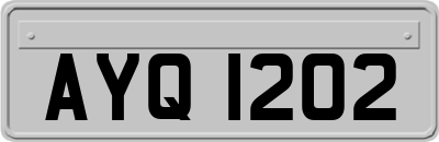 AYQ1202