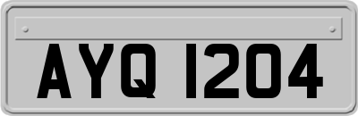 AYQ1204