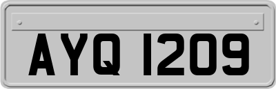 AYQ1209