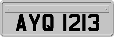 AYQ1213