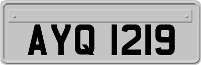 AYQ1219