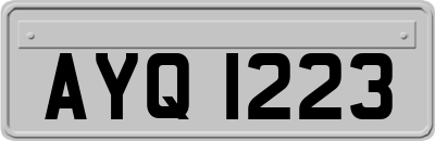 AYQ1223