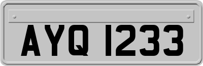 AYQ1233